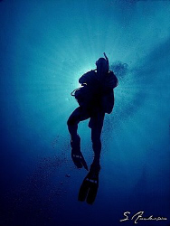 My friend Doug makes his safety stop off Roatan in 2007. by Steven Anderson 
